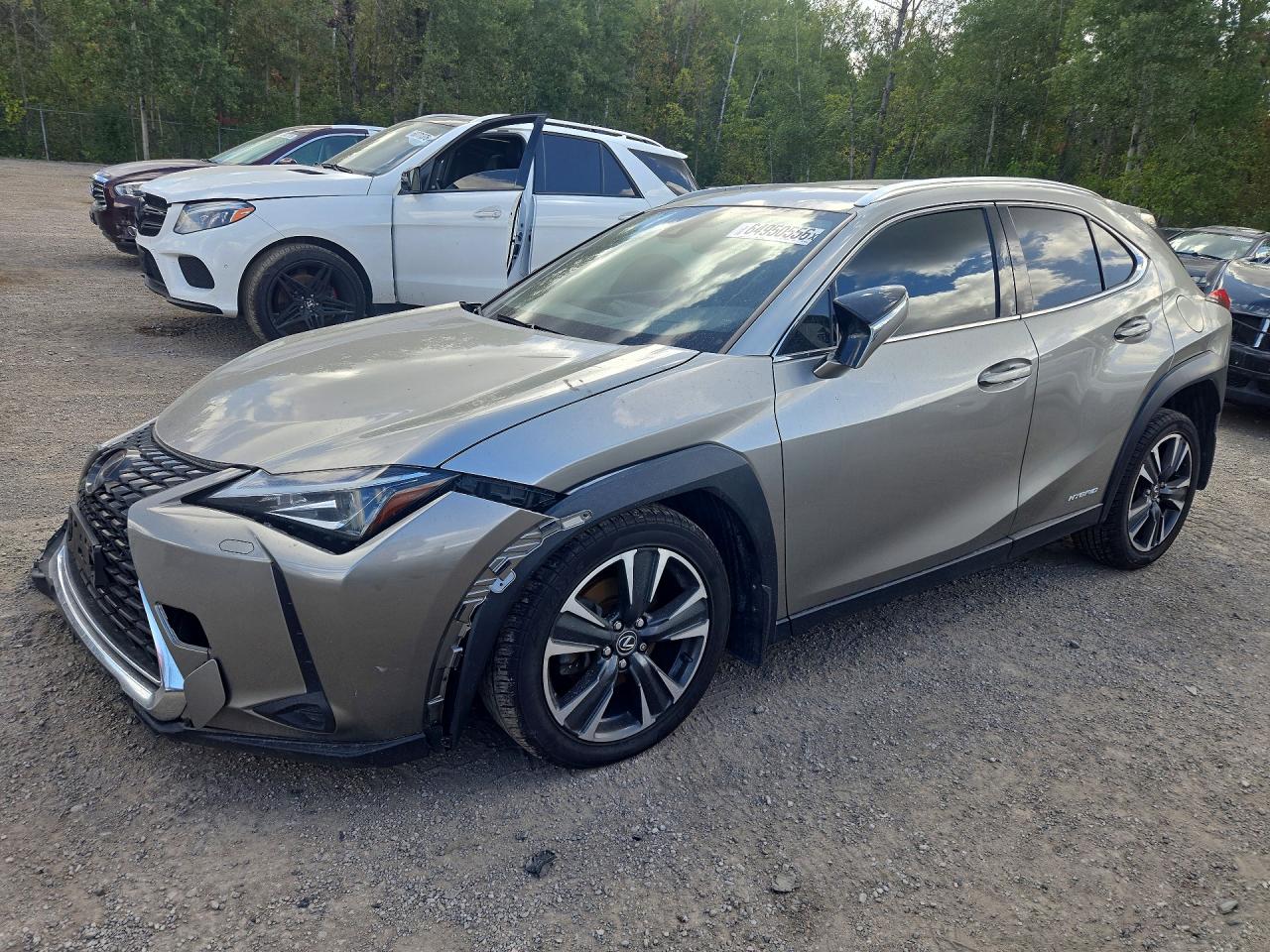 Lexus Ux 250h 2019