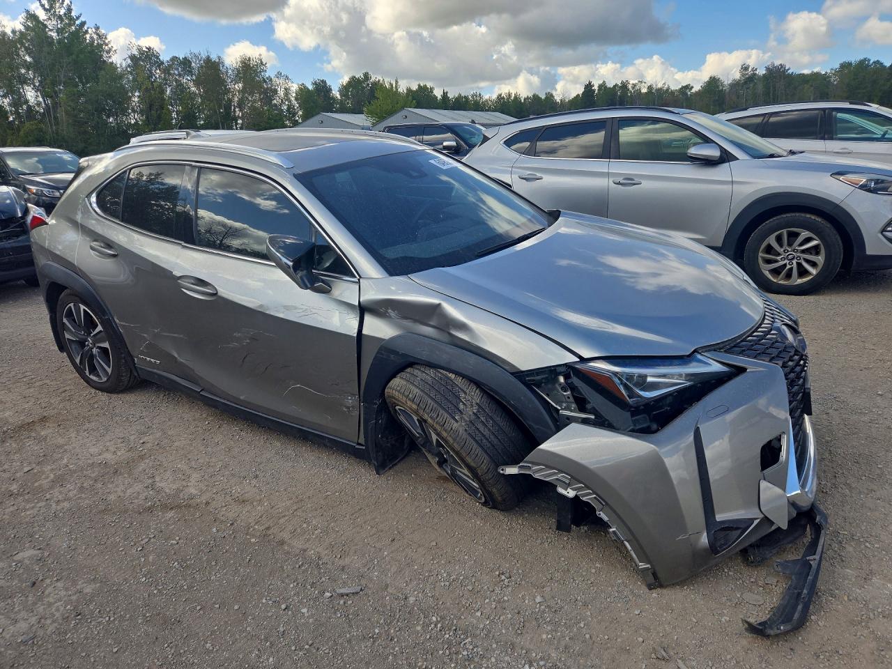 Lexus Ux 250h 2019