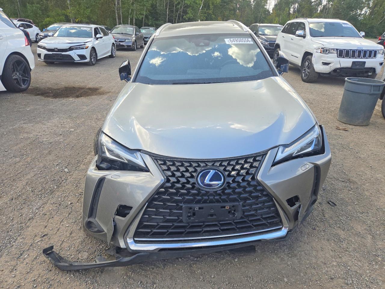 Lexus Ux 250h 2019