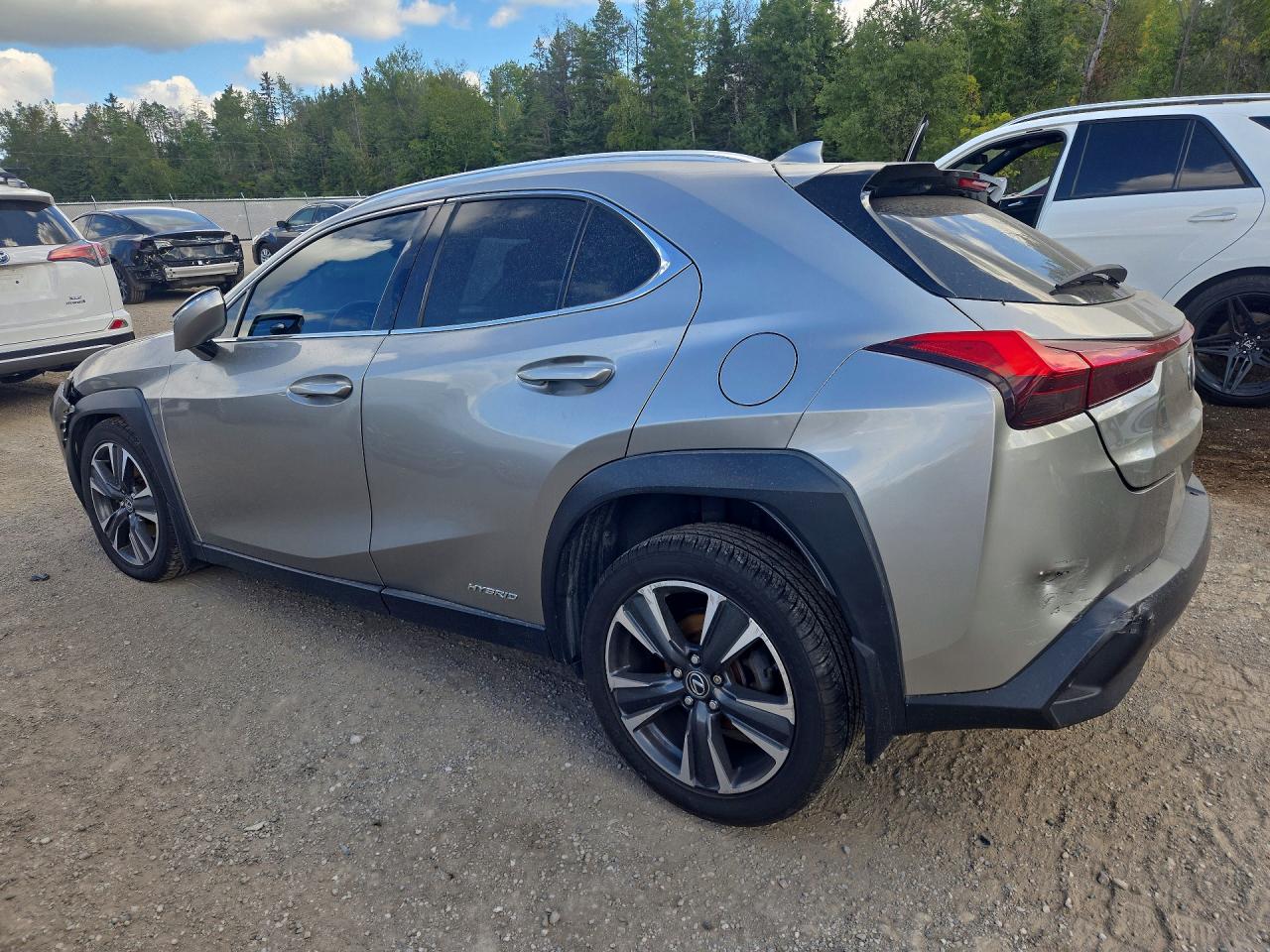 Lexus Ux 250h 2019