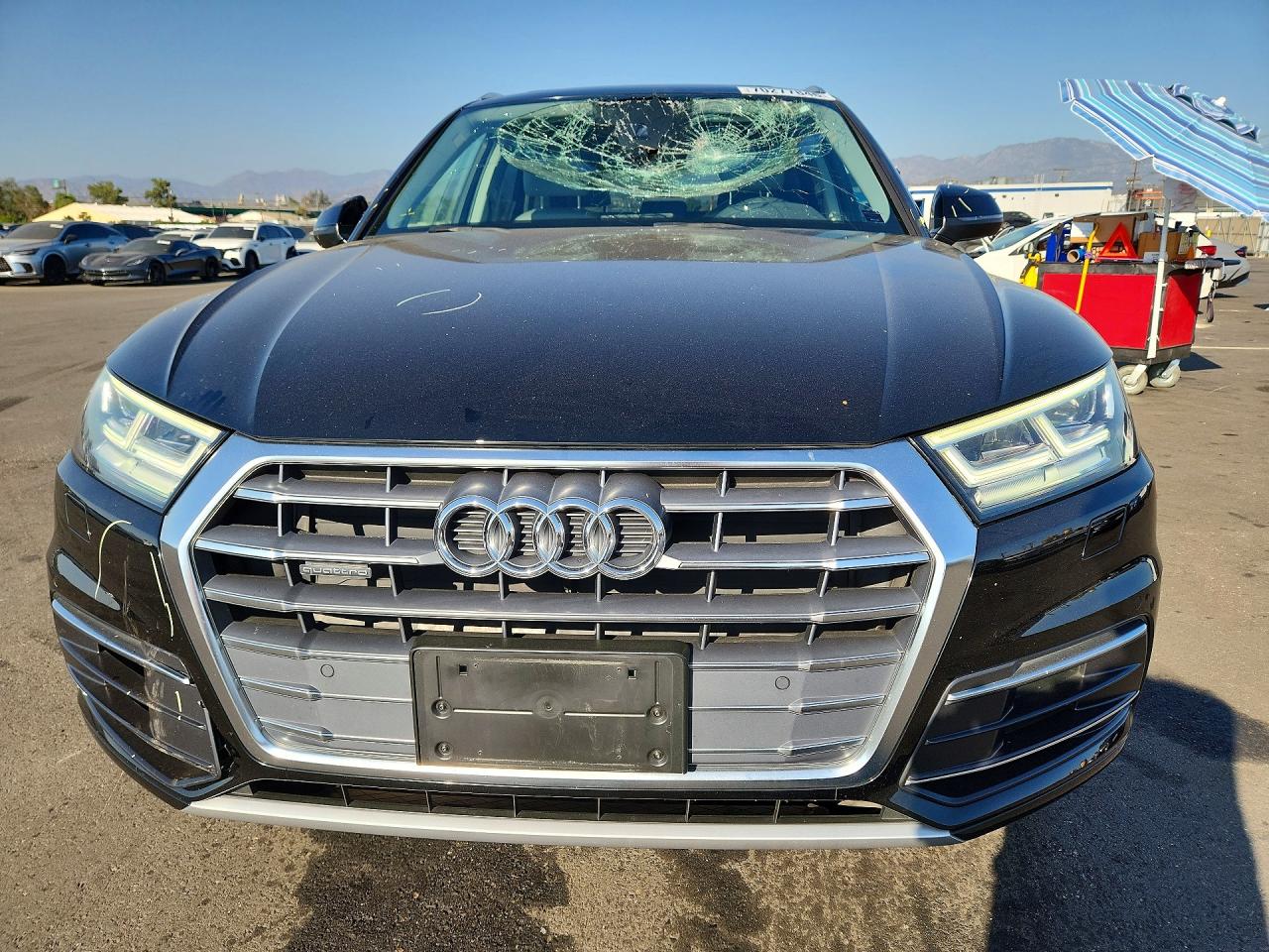 Audi Q5 Premium Plus 2019